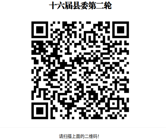巡察公告 巡察公告